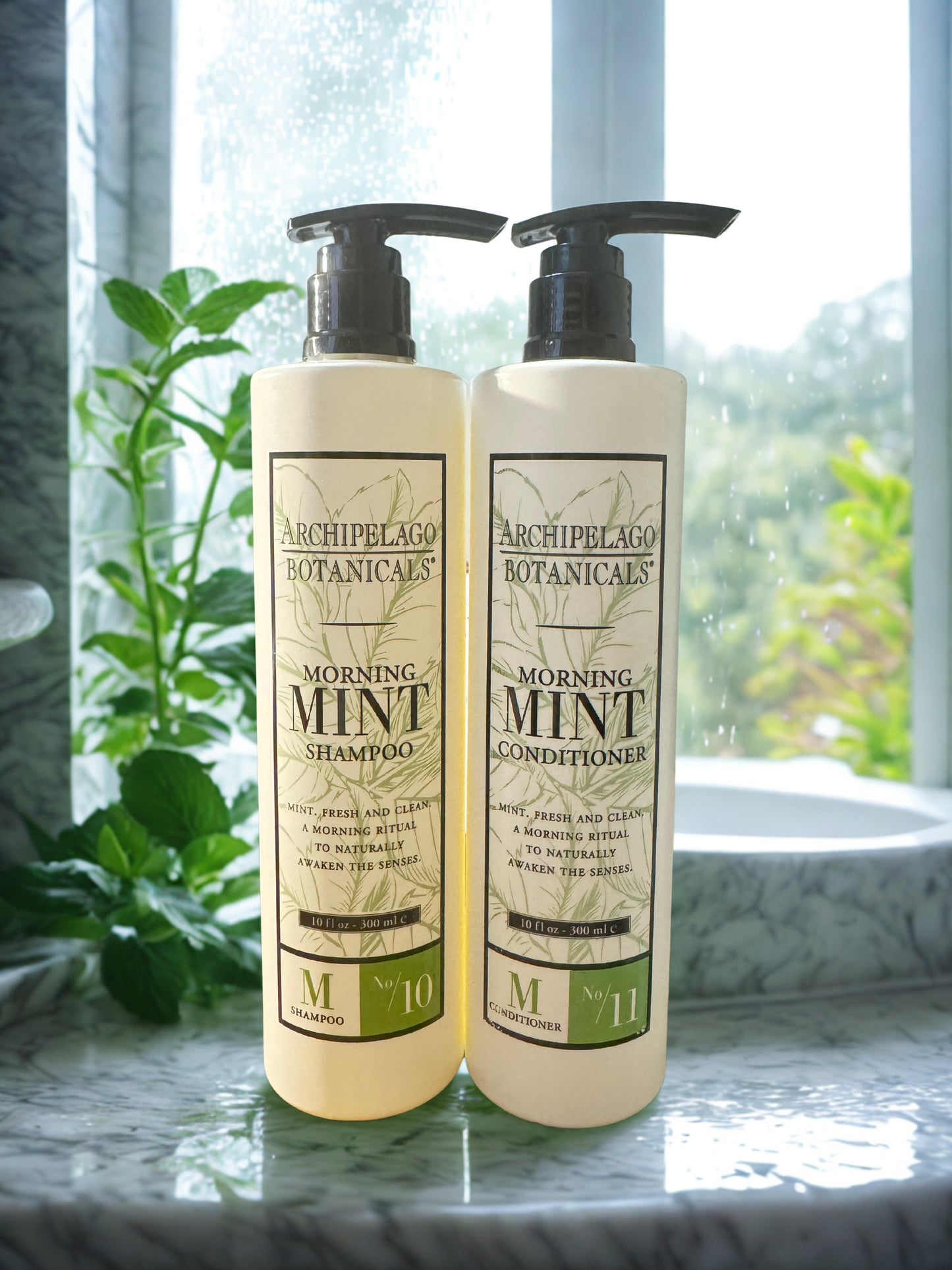 Two bottles of Archipelago Botanicals Morning Mint shampoo and conditioner on a surface with a window and plant in the background.