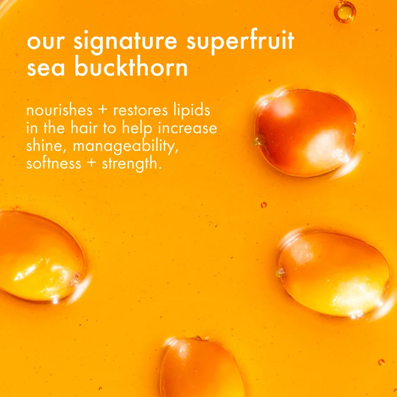 sea buckthorn ingredient graphic for amika the shield anti-humidity spray