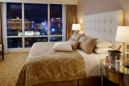 Envirosleep Dream Support Pillows