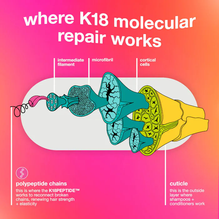 Colorful K18 illustration showing a hair fiber’s inner layers and the peptide-chain concept behind molecular repair.